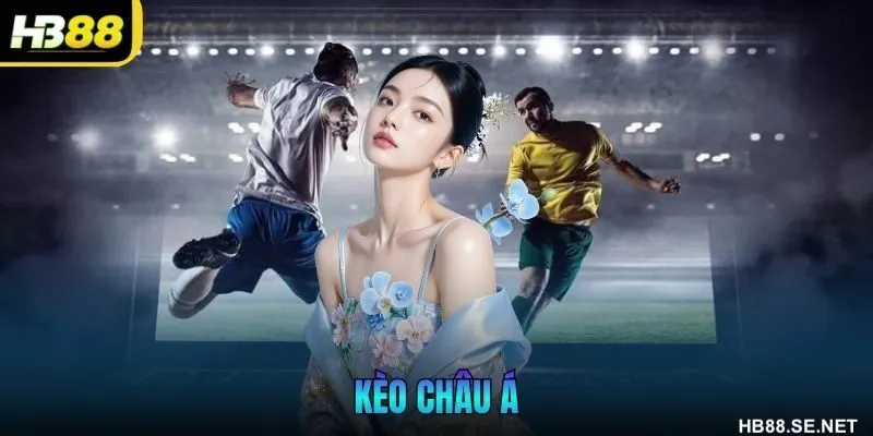 Kèo Châu Á Là Gì? Cách Đọc Chuẩn Và Bí Quyết Soi Kèo Hiệu Quả