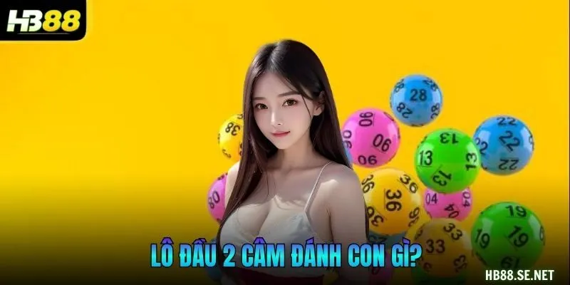 lô đầu 2 câm đánh con gì